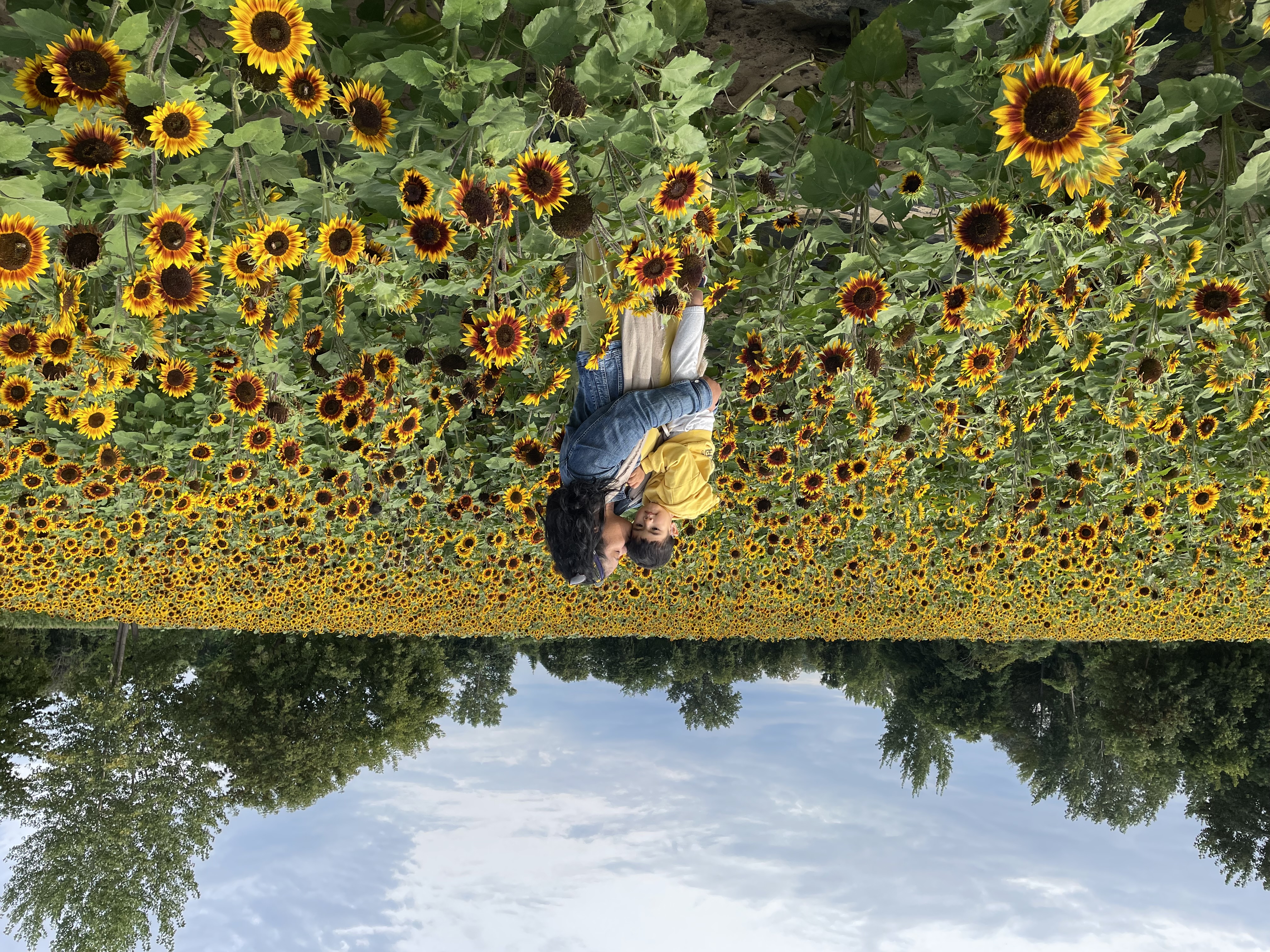 Kris Daria holding Jayden in a sunflower field
